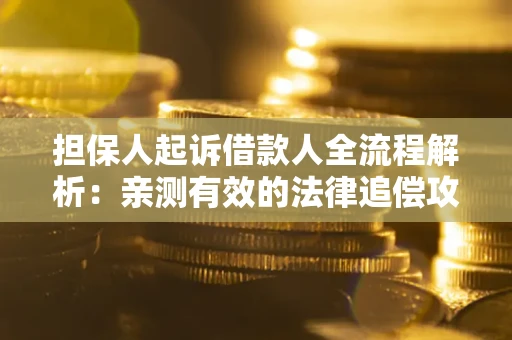 济南担保人起诉借款人全流程解析：亲测有效的法律追偿攻略