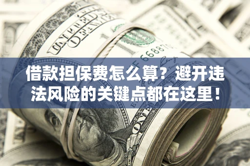 济南借款担保费怎么算？避开违法风险的关键点都在这里！