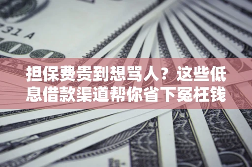 济南担保费贵到想骂人？这些低息借款渠道帮你省下冤枉钱