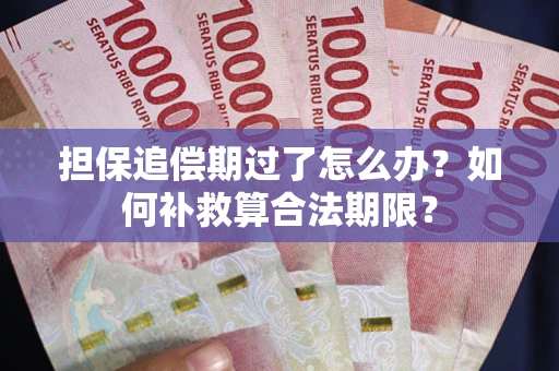 济南担保追偿期过了怎么办？如何补救算合法期限？