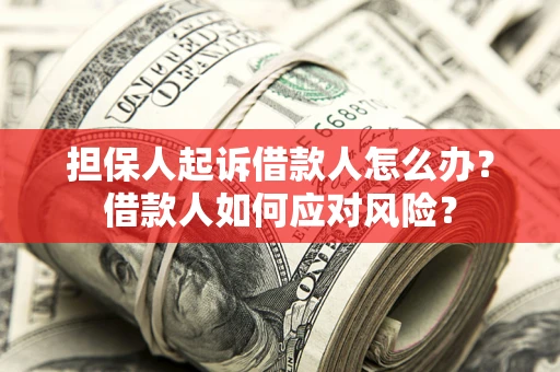 济南担保人起诉借款人怎么办？借款人如何应对风险？