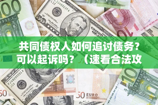 济南共同债权人如何追讨债务？可以起诉吗？（速看合法攻略）