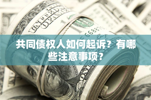 济南共同债权人如何起诉？有哪些注意事项？